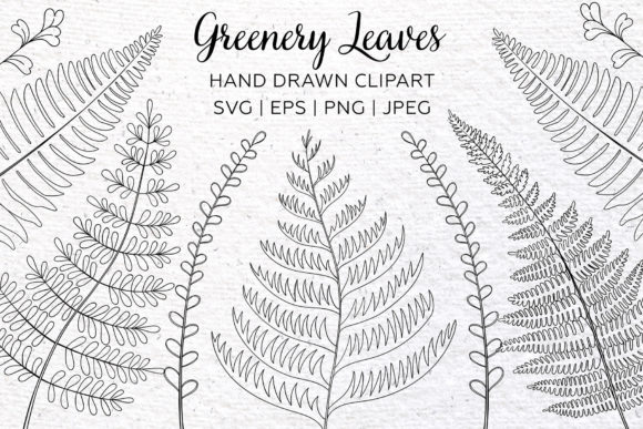 Download Greenery Clipart. Floral Leaf Design. - Leaf design Collection